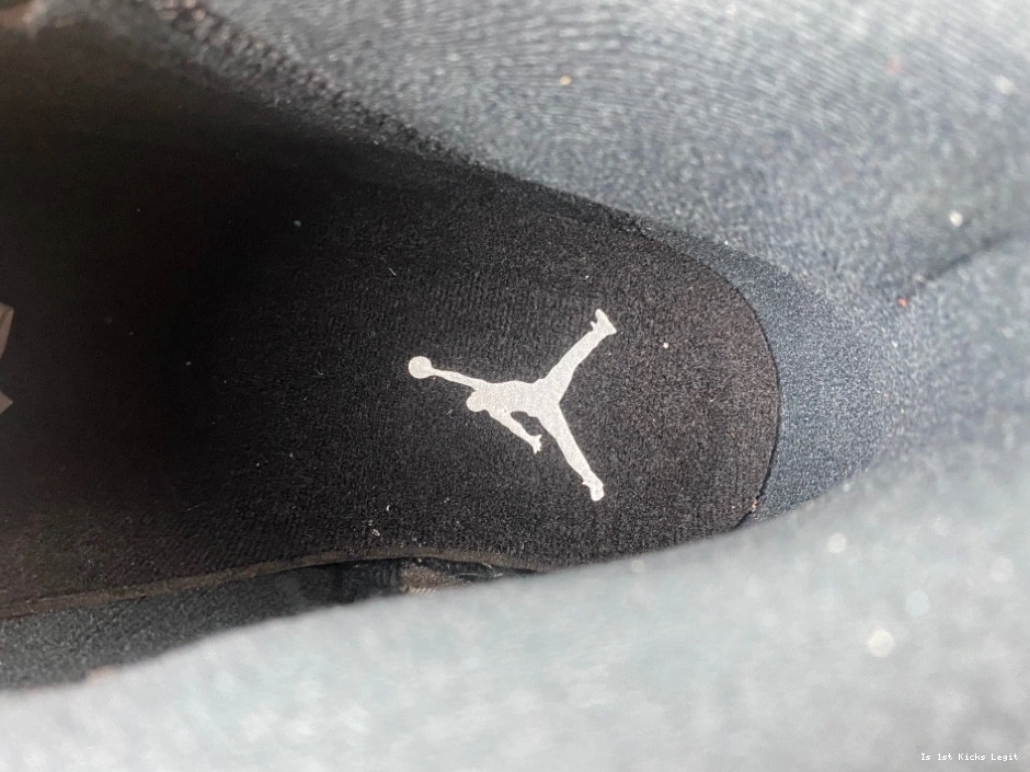 Jordan 14 Air 487471-407 Laney 1003